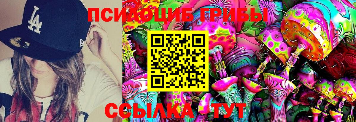 Псилоцибиновые грибы GOLDEN TEACHER Гусев