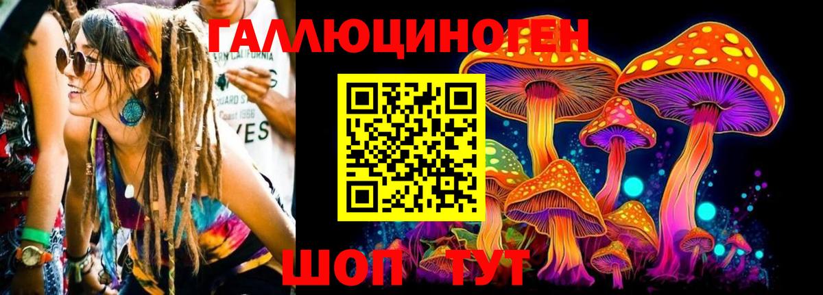 Псилоцибиновые грибы GOLDEN TEACHER  Вход с VPN  Гусев 